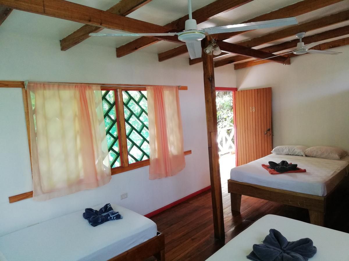 Talamanca Cabins Кахуіта Екстер'єр фото